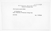 Puccinia xanthii image